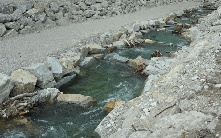 FISCHAUFSTIEG IN DER ALM